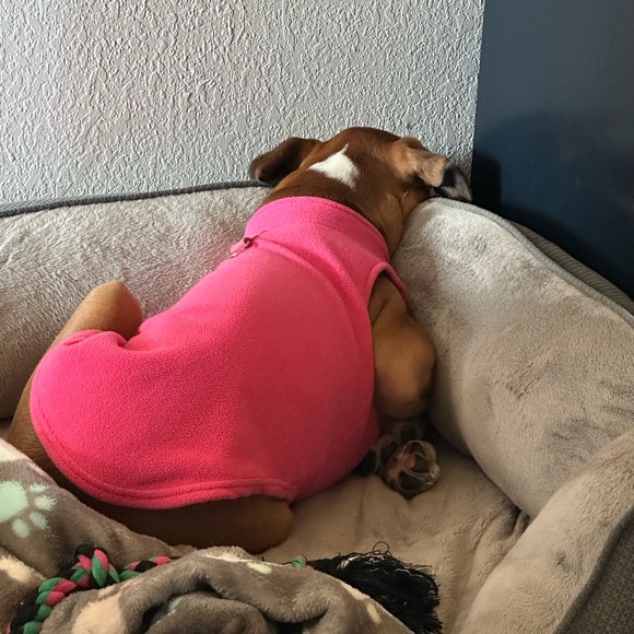 Gooby Zip Up Fleece - Pink - Size Large. - Picture 8 of 10